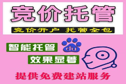 SEO与SEM优化案例：打造行业领先品牌